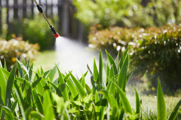 24/7 Emergency Cockroach Control experts in Mason, TX