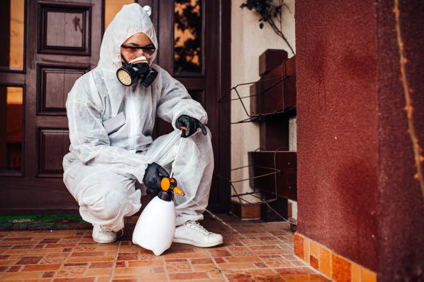 Reliable Cockroach Control contractor in Mason, TX by Nex Pest Control